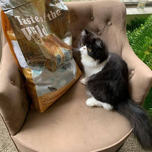 Concentrado Para Gato Taste Of The Wild Canyon River Trout & Salmon