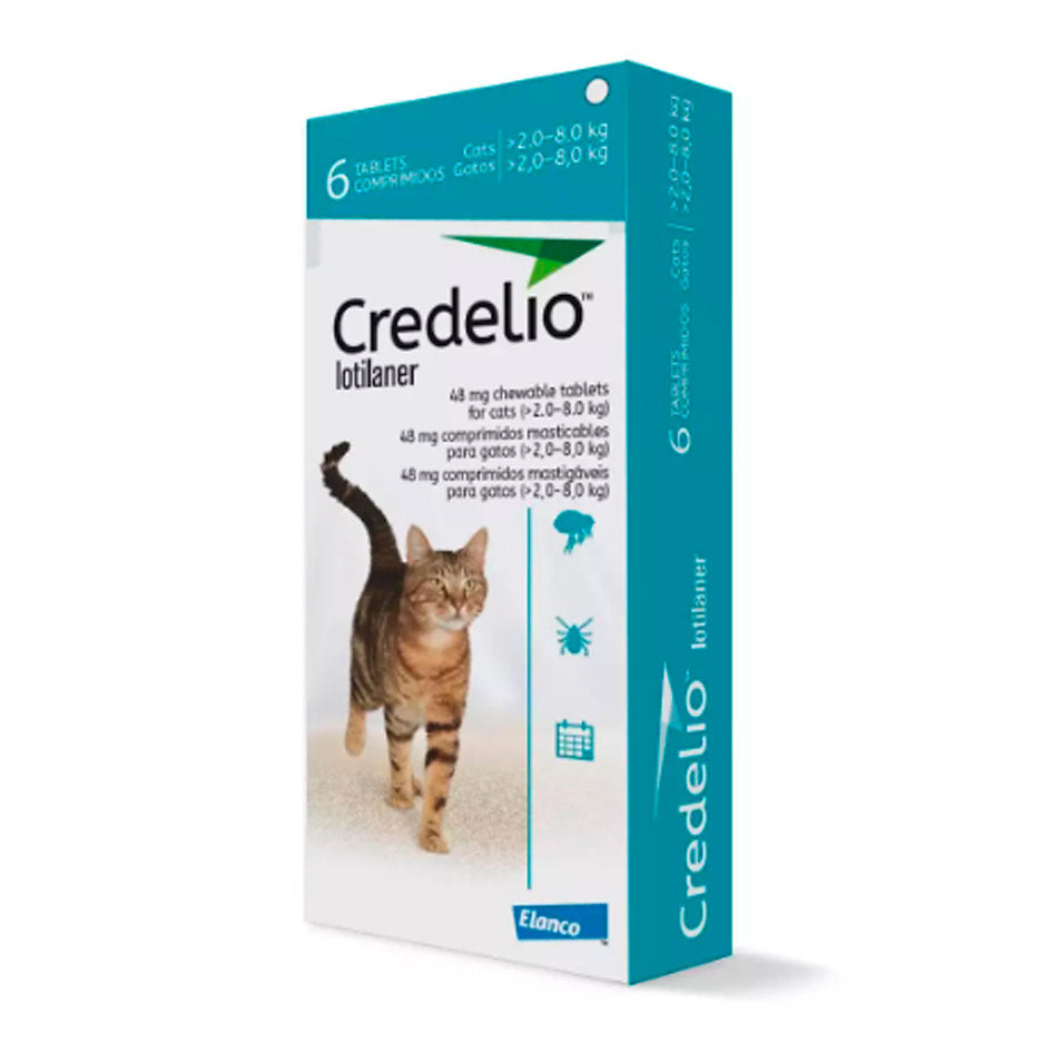 Credelio para gato