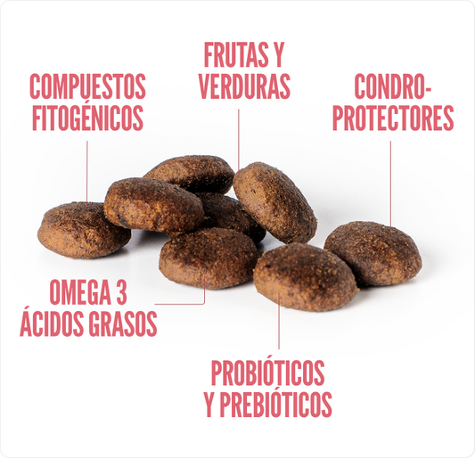 Concentrado para Perro Adulto Summit10 Whole Choice Pollo