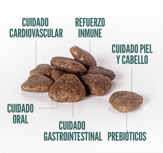 Concentrado para Perro Summit10 Grain Free Pollo y Papa