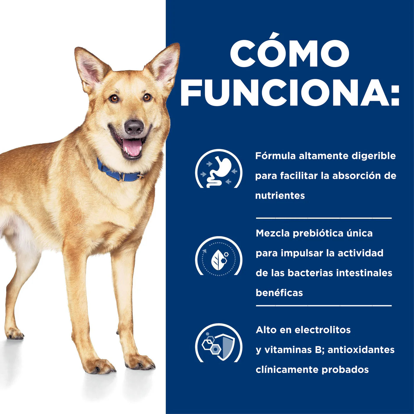 Concentrado para Perro Science Diet medicado i/d