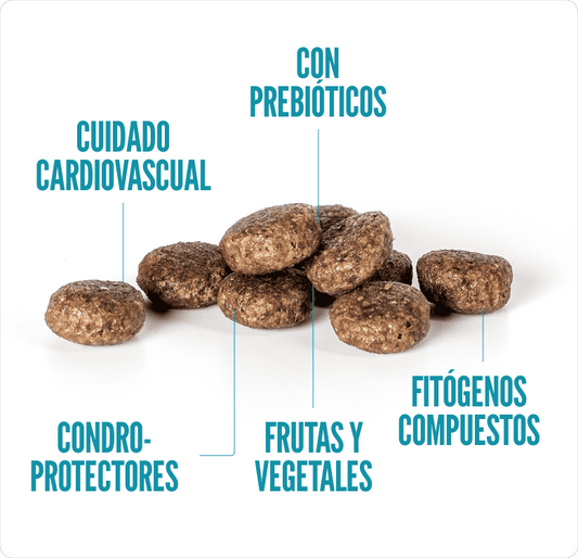 Concentrado para Perro Adulto Summit10 Cordero y Arroz