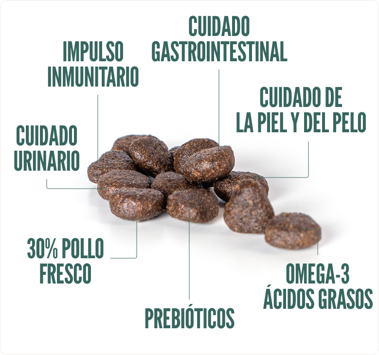 Concentrado para Gatos Adultos Summit10 Sensitive Salmón y Papa