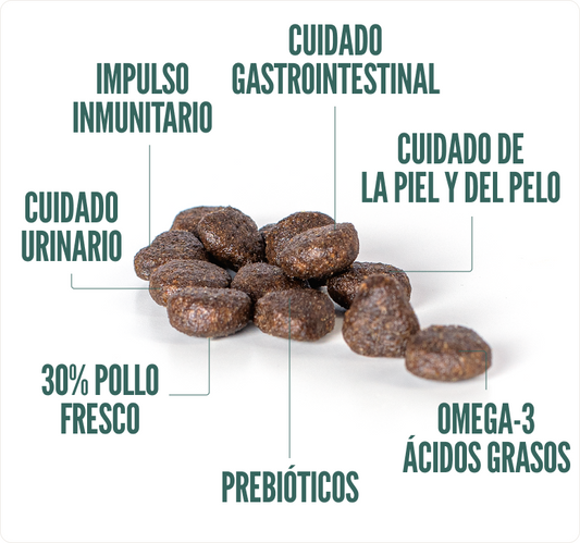 Concentrado para Gatos Adultos Summit10 Sensitive Salmón y Papa