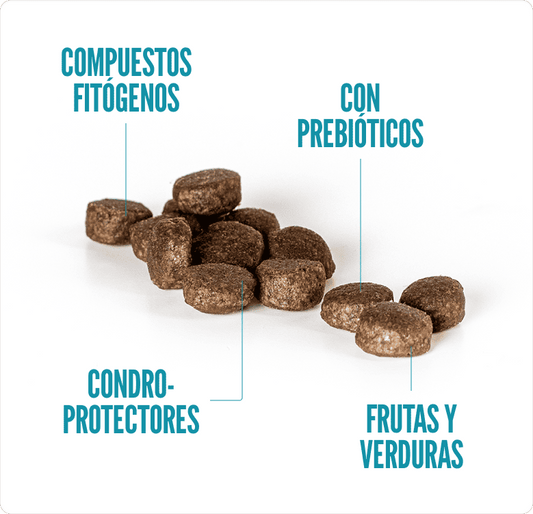 Concentrado para cachorro Summit10 Pollo y Arroz