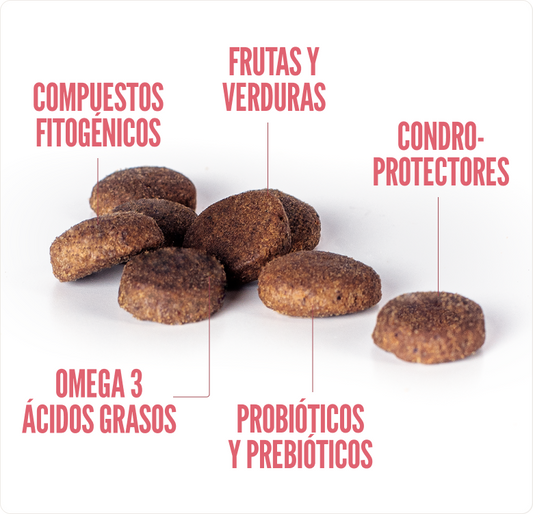 Concentrado para Perro Adulto Summit10 Whole Choice Salmón