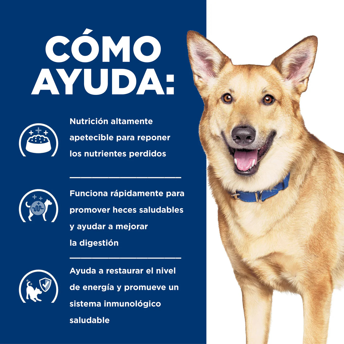 Concentrado para Perro Science Diet medicado i/d