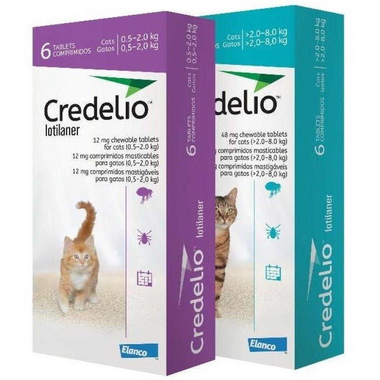 Credelio para gato
