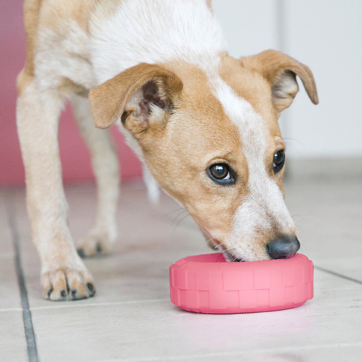 Juguete para cachorro Kong  Puppy Tires