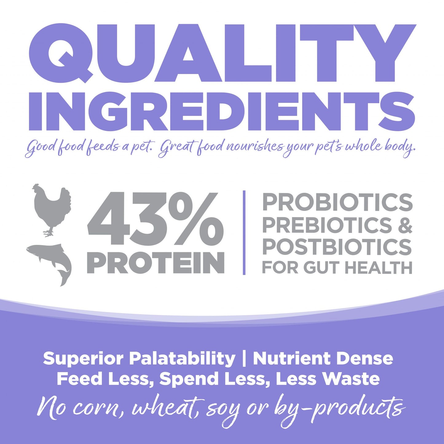 Concentrado para Gatitos Nutrisource Chicken Meal, Salmon & Liver