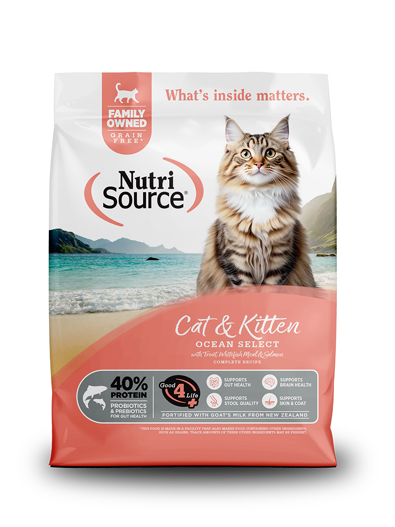 Concentrado para gato Ocean Select Cat and Kitten