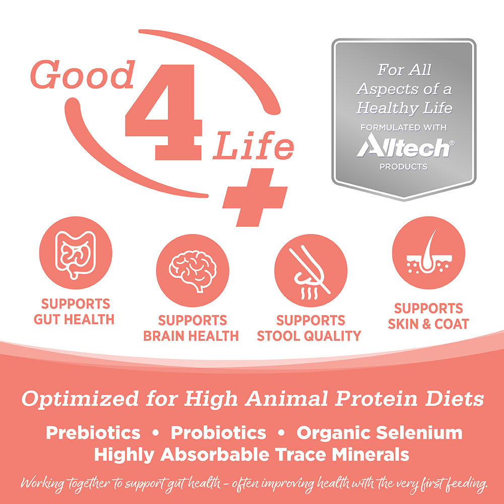 Concentrado para gato Ocean Select Cat and Kitten