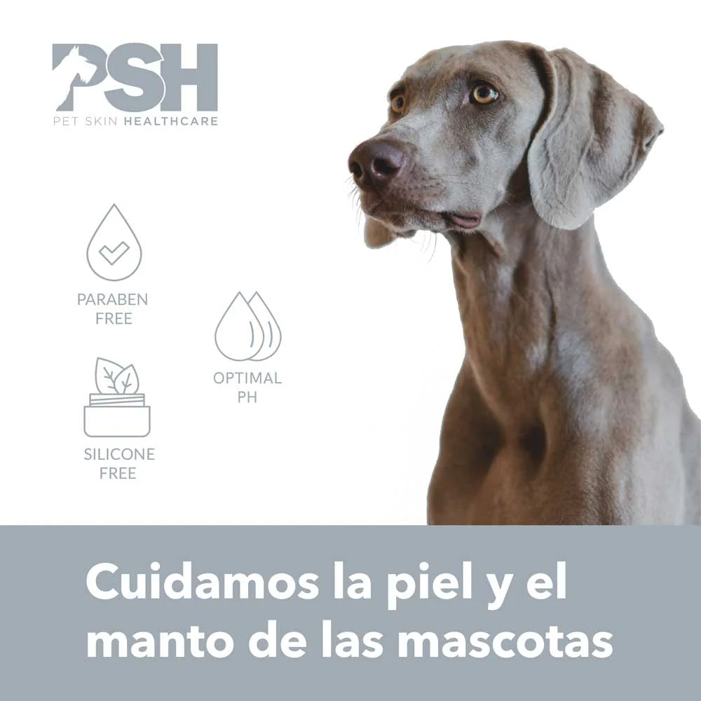 PSH Shampoo Pure Silver