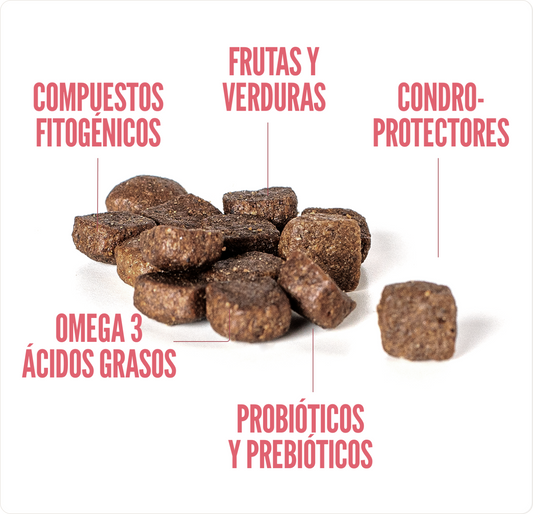 Concentrado para Perros Raza Pequeña Summit10 Whole Choice Pollo