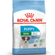 Concentrado para Perro Royal Canin Mini Cachorro