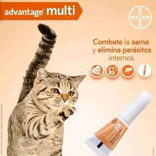 Pipetas ADVANTAGE MULTI GATO (3 pipetas)