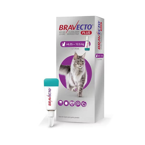 Bravecto Plus Cat