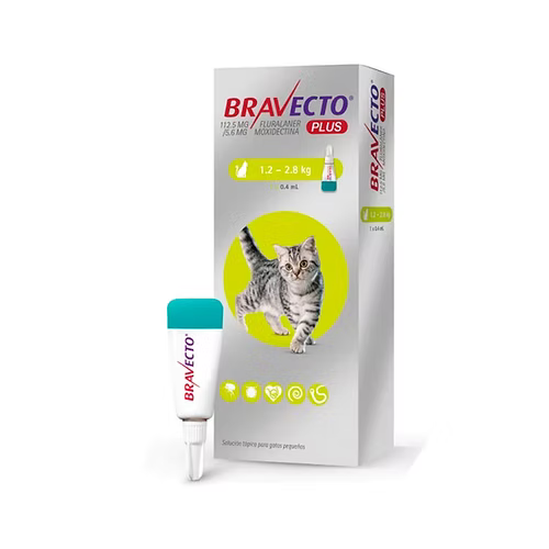 Bravecto Plus Cat