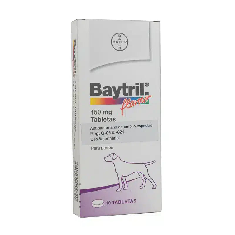 Baytril- Antibacteriano de alto espectro para perros