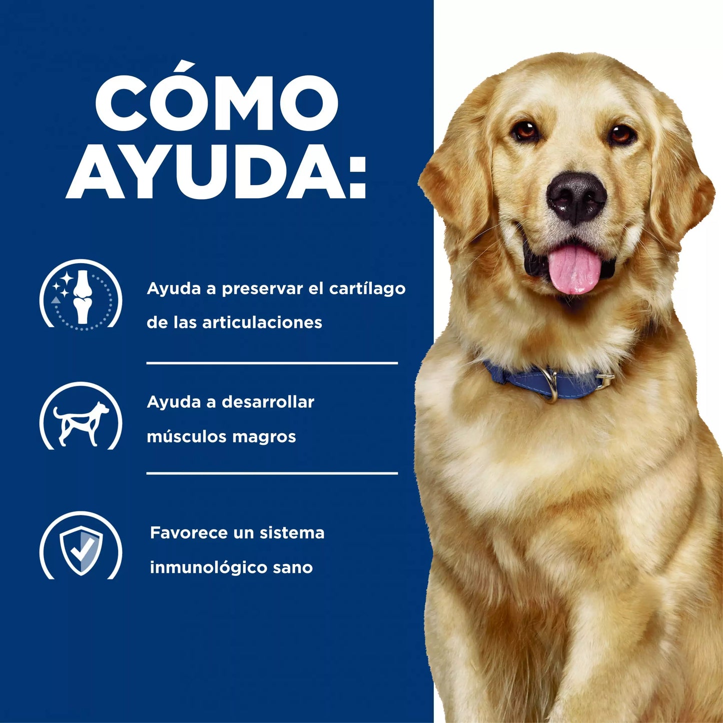 Concentrado para Perro Science Diet Medicado J/D