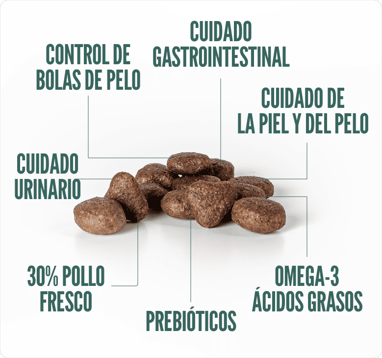 Concentrado para Gatos Adultos Summit10  Grain Free Hair Care