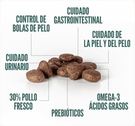 Concentrado para Gatos Adultos Summit10  Grain Free Hair Care