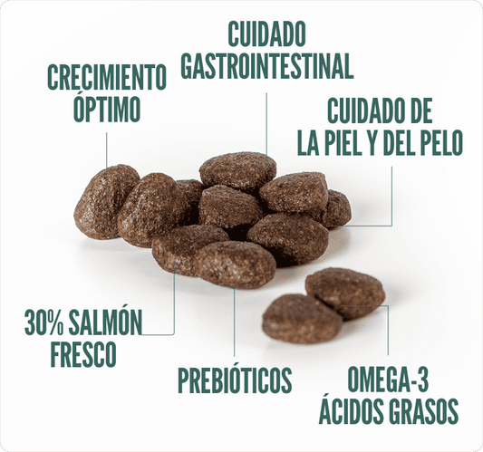 Concentrado para Cachorro Summit10 Grain Free Sensitive Salmón y Papa