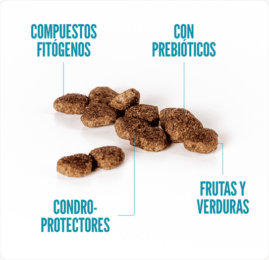 Concentrado para Gatos Adultos Esterilizados Summit10 Pollo Pescado y Arroz