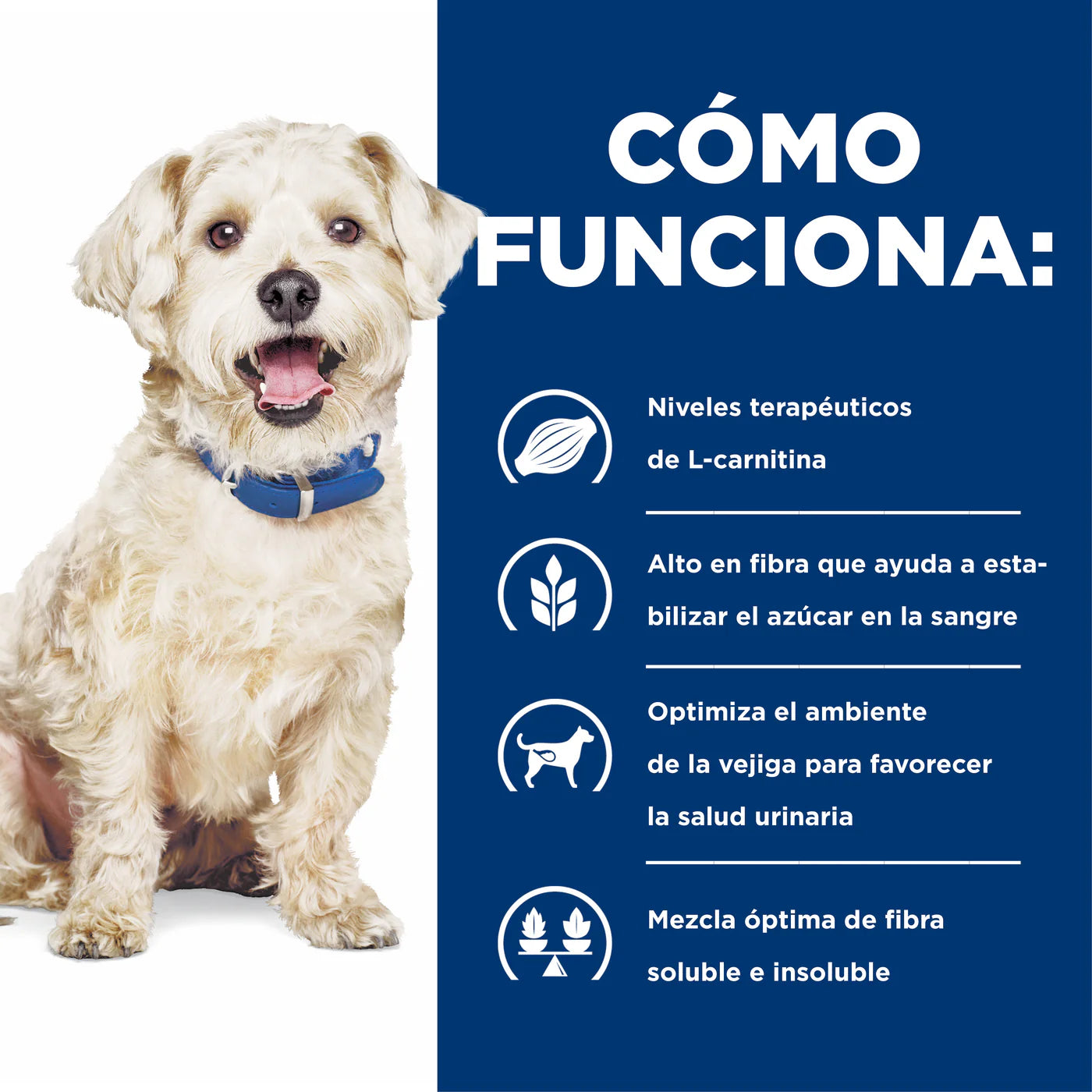 Concentrado para Perro Science Diet Medicado w/d