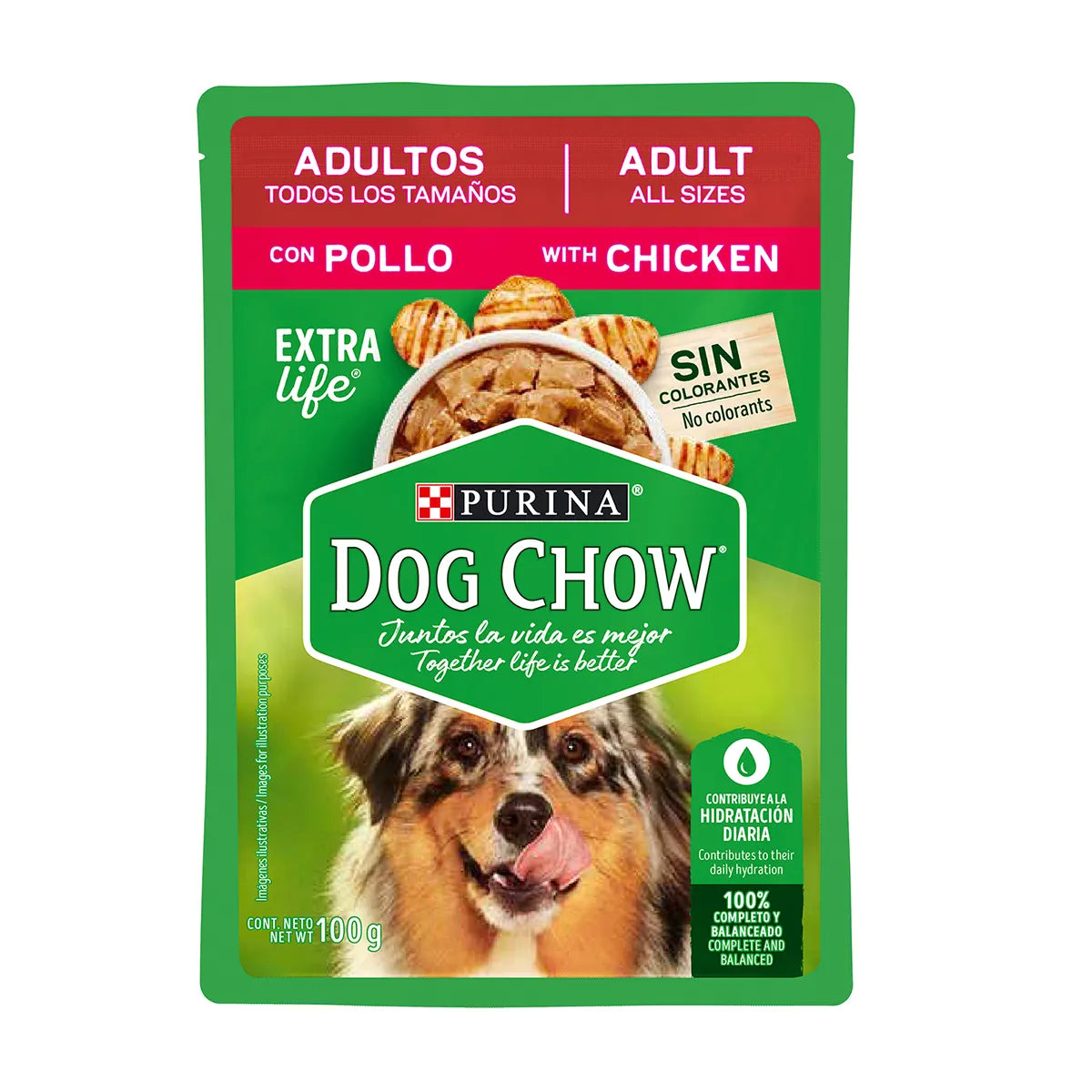 Alimento para Perro Adulto Dog Chow Pouch Carne