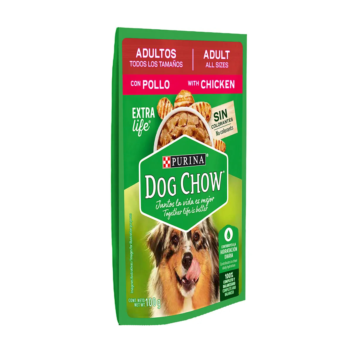 Alimento para Perro Adulto Dog Chow Pouch Carne